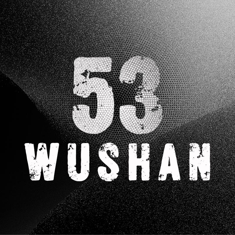 WUSHAN53 店铺LOGO