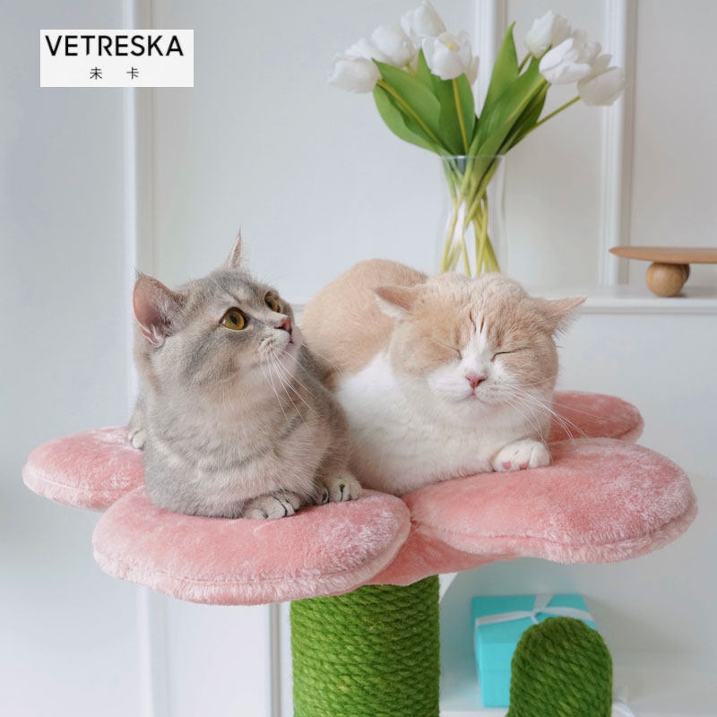 王多鱼的猫店