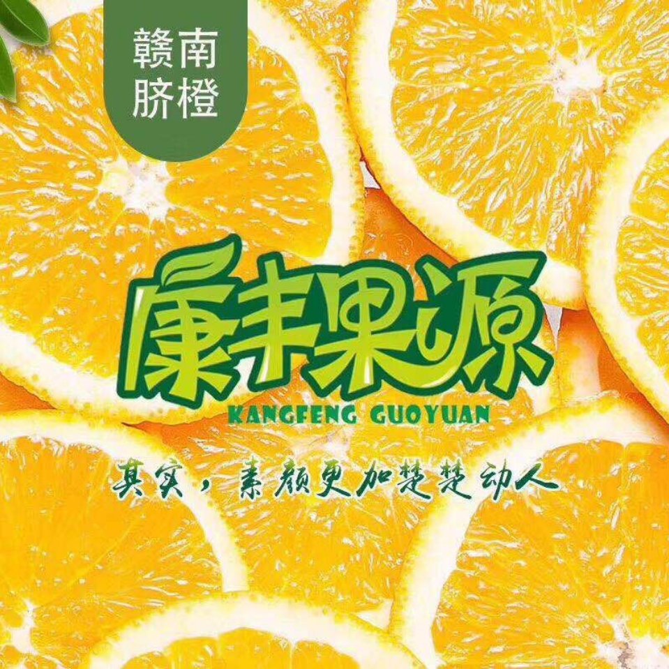 康丰果源 正宗赣南老俵脐橙