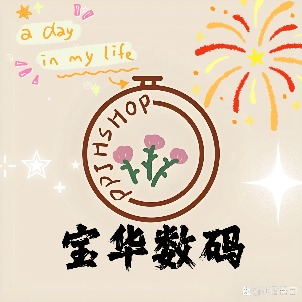 宝华数码 店铺LOGO