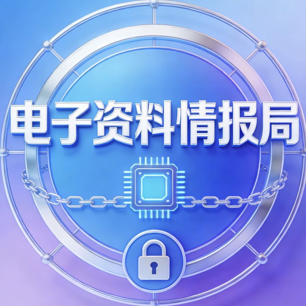 电子资料情报局