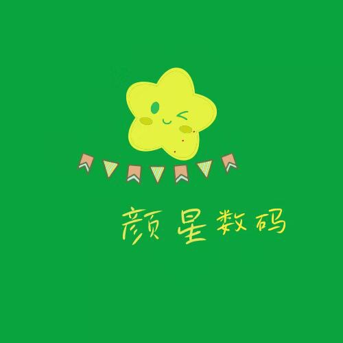 颜星数码科技