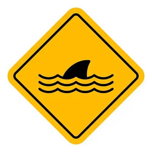 sharkshark 店铺LOGO