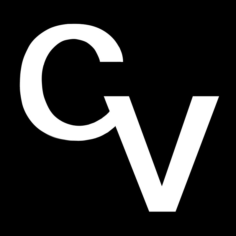 CV大码女装