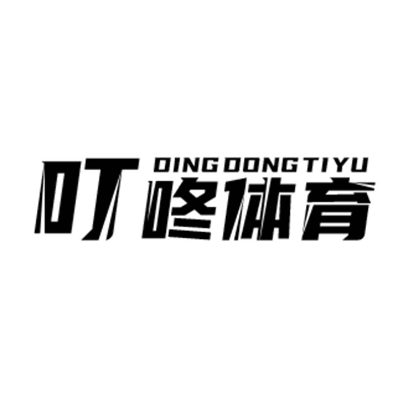 叮咚体育正品店