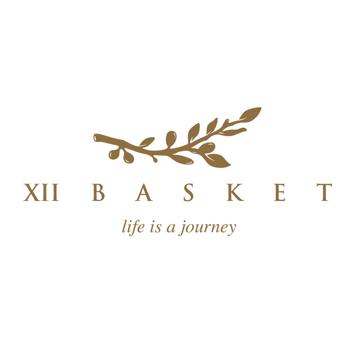 XII BASKET官方旗舰店 店铺LOGO