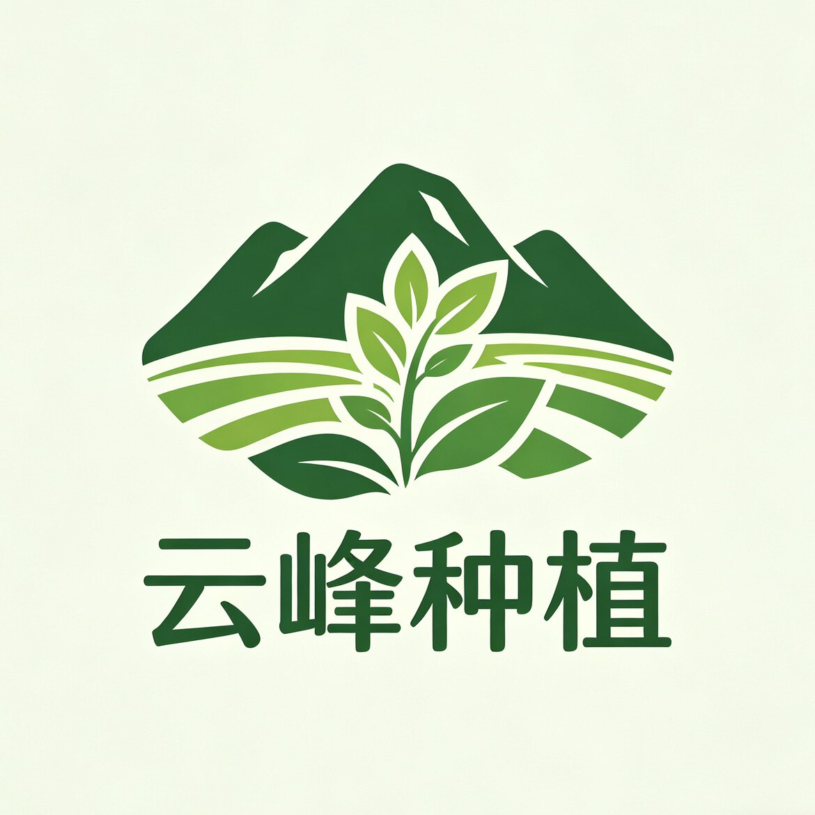 云峰种植
