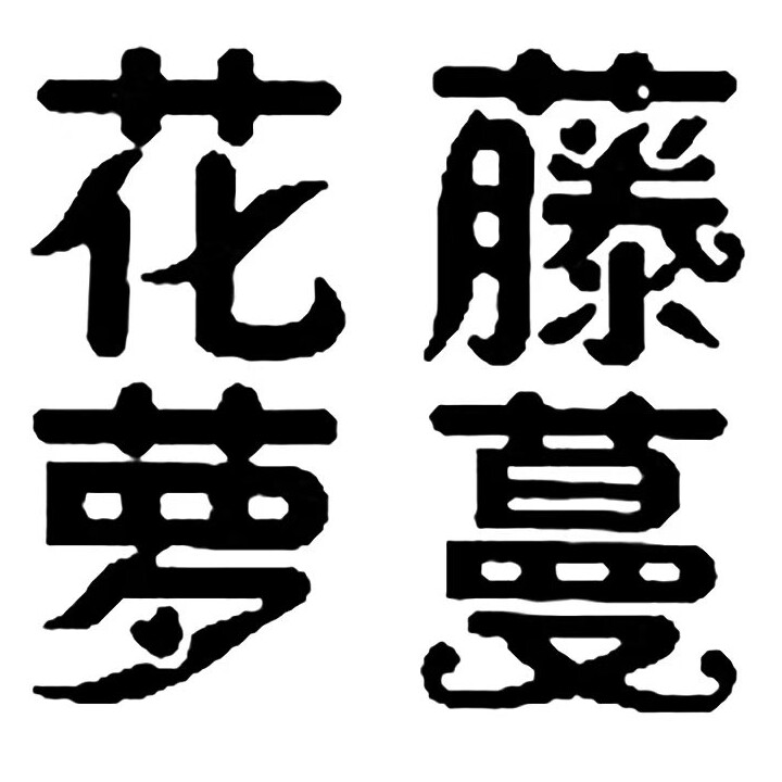 花藤萝蔓 真皮皮鞋箱包