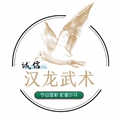 汉龙武术