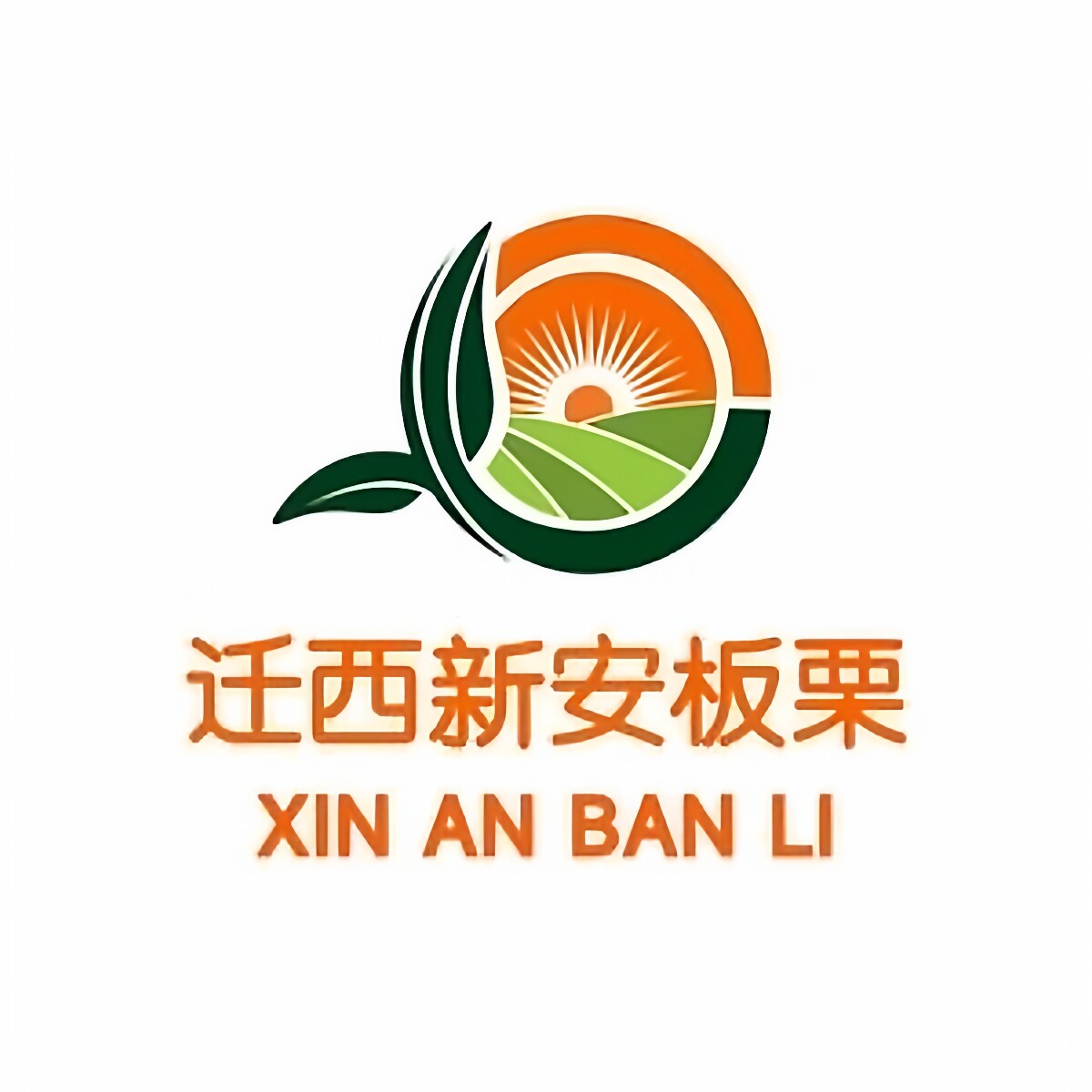 迁西新安板栗 店铺LOGO