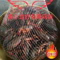 Dragon五金塑料制品