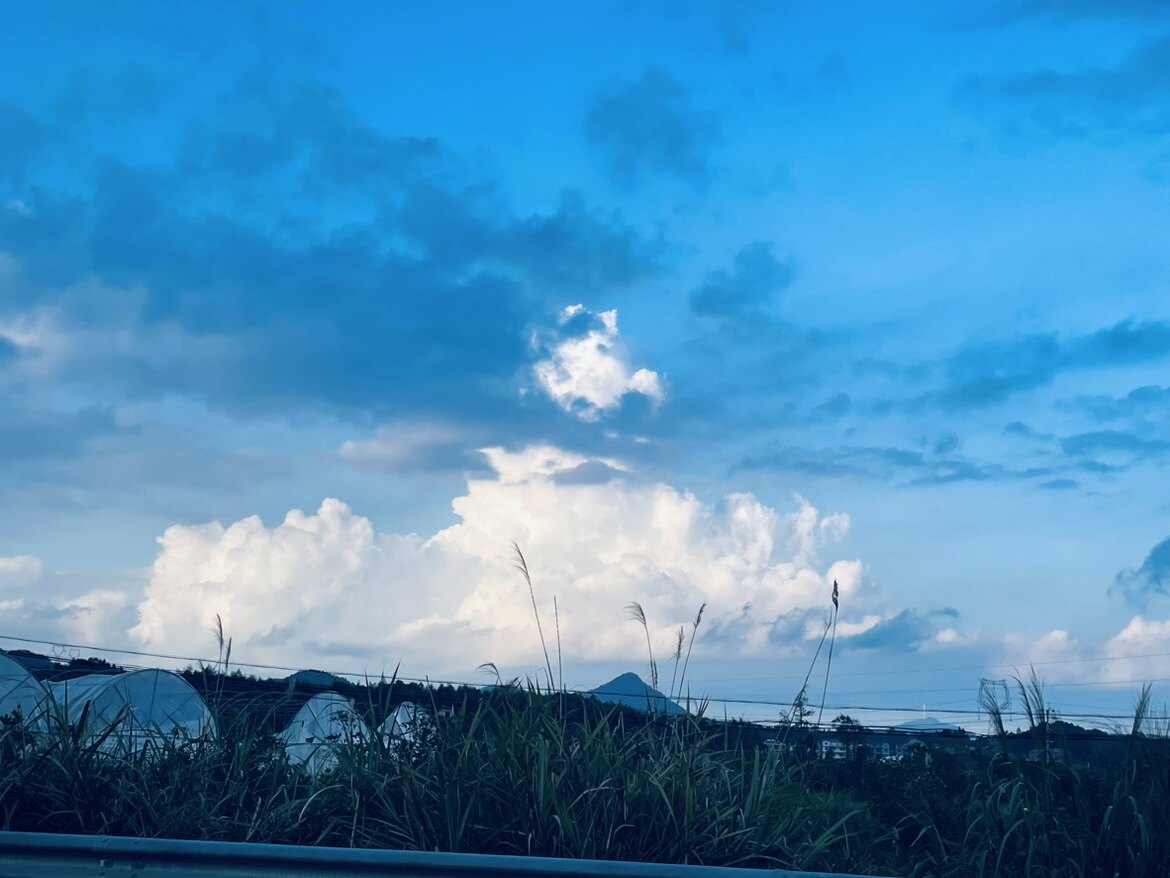 黎明灯塔