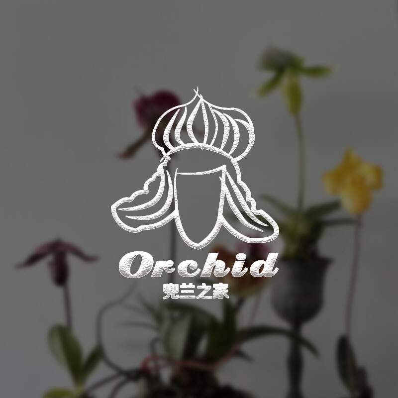 兜兰之家