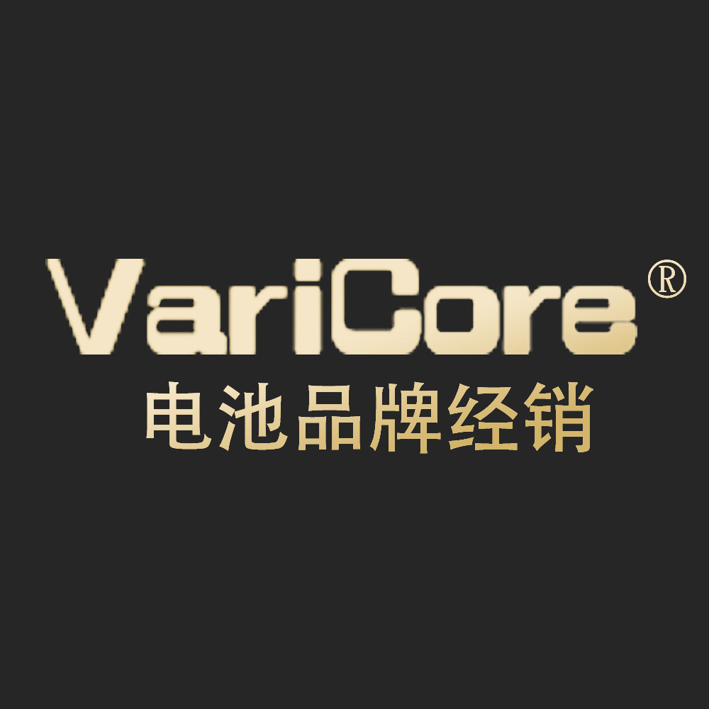 VariCore品牌电池配件