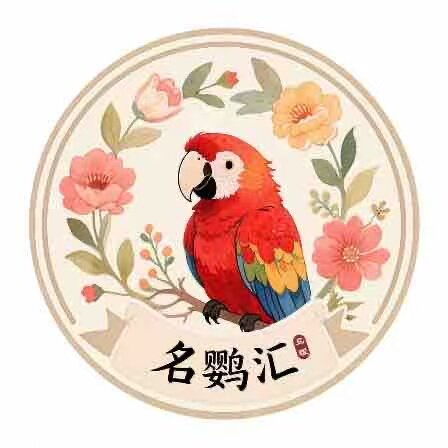 名鹦汇