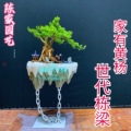 陈家百花园