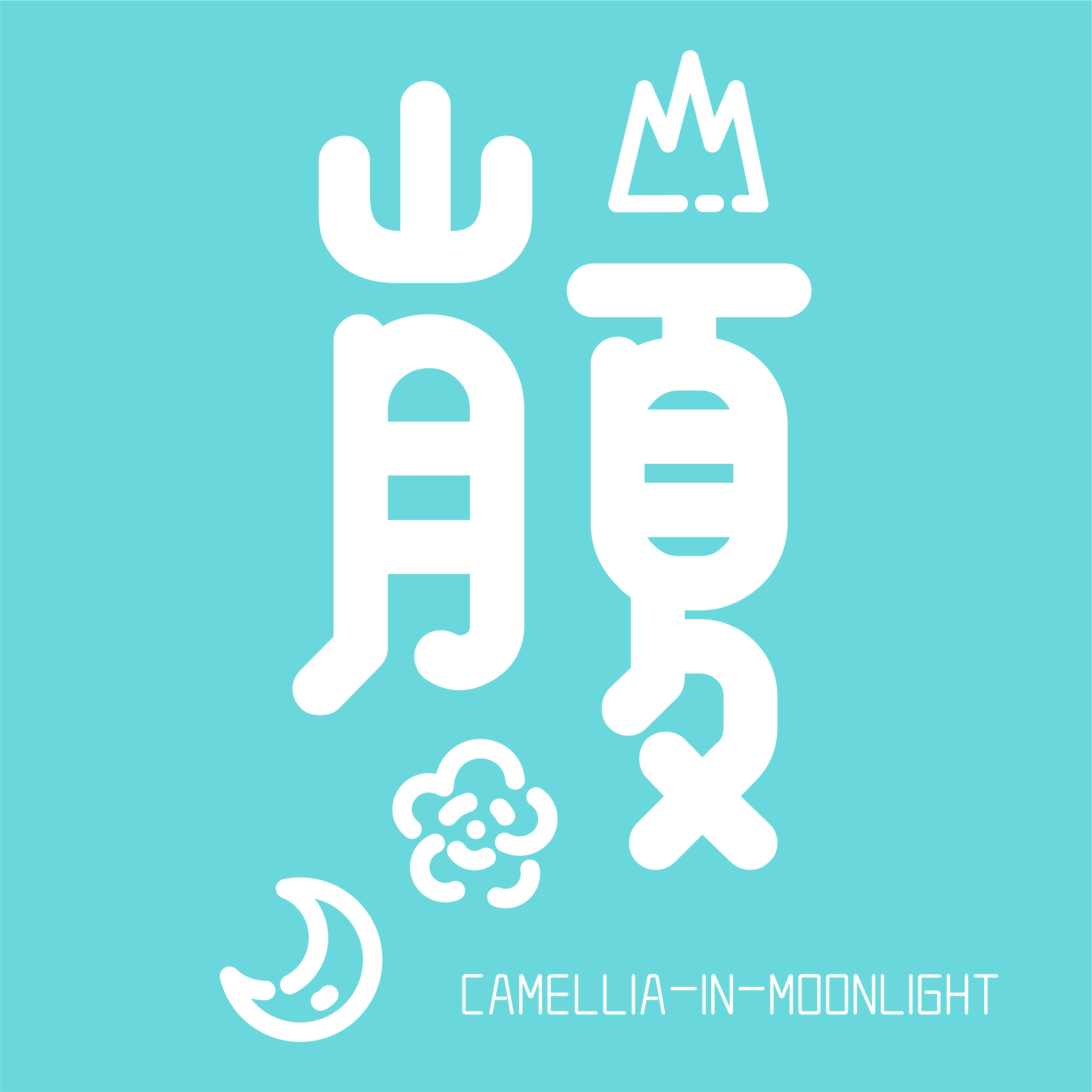 夏天的月亮岛