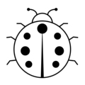 TNZ 店铺LOGO