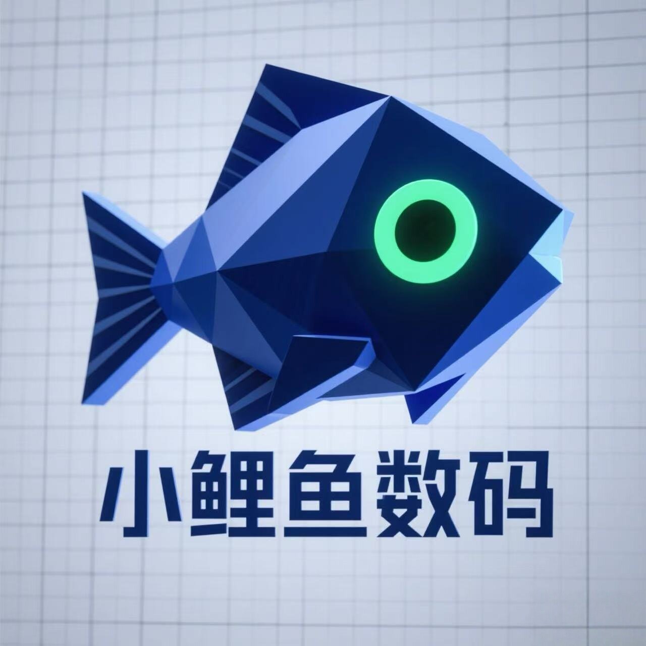 小鲤鱼数码 店铺LOGO