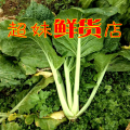 超妹鲜货店