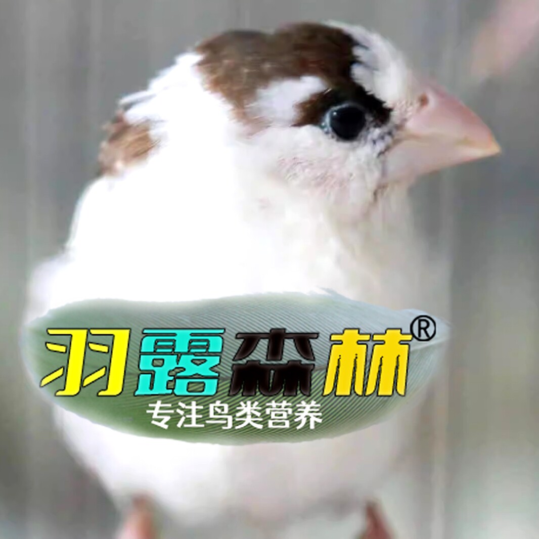 滕州羽露森林鸟粮
