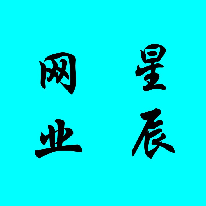 星辰网业 店铺LOGO