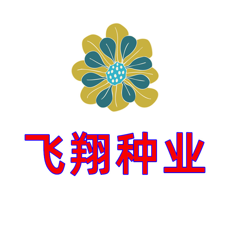 飞翔种业