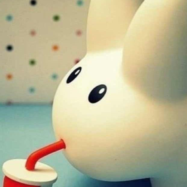 无敌兔全球购