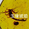 玉缘琥珀