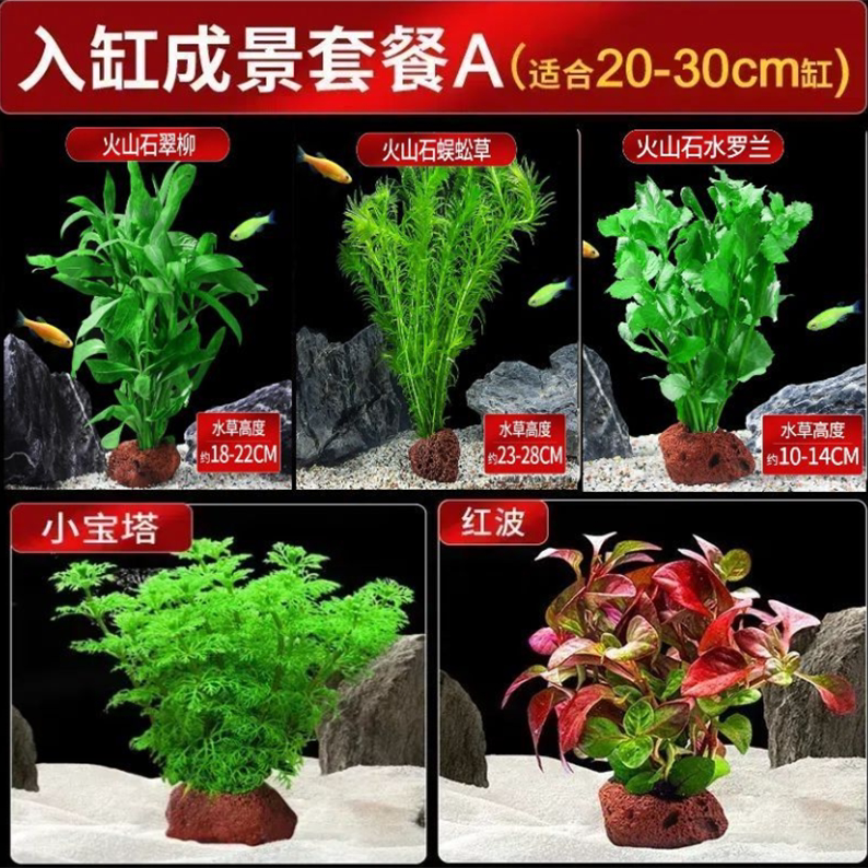 摩可熊水族艺品