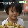 云南生态果仙梅店