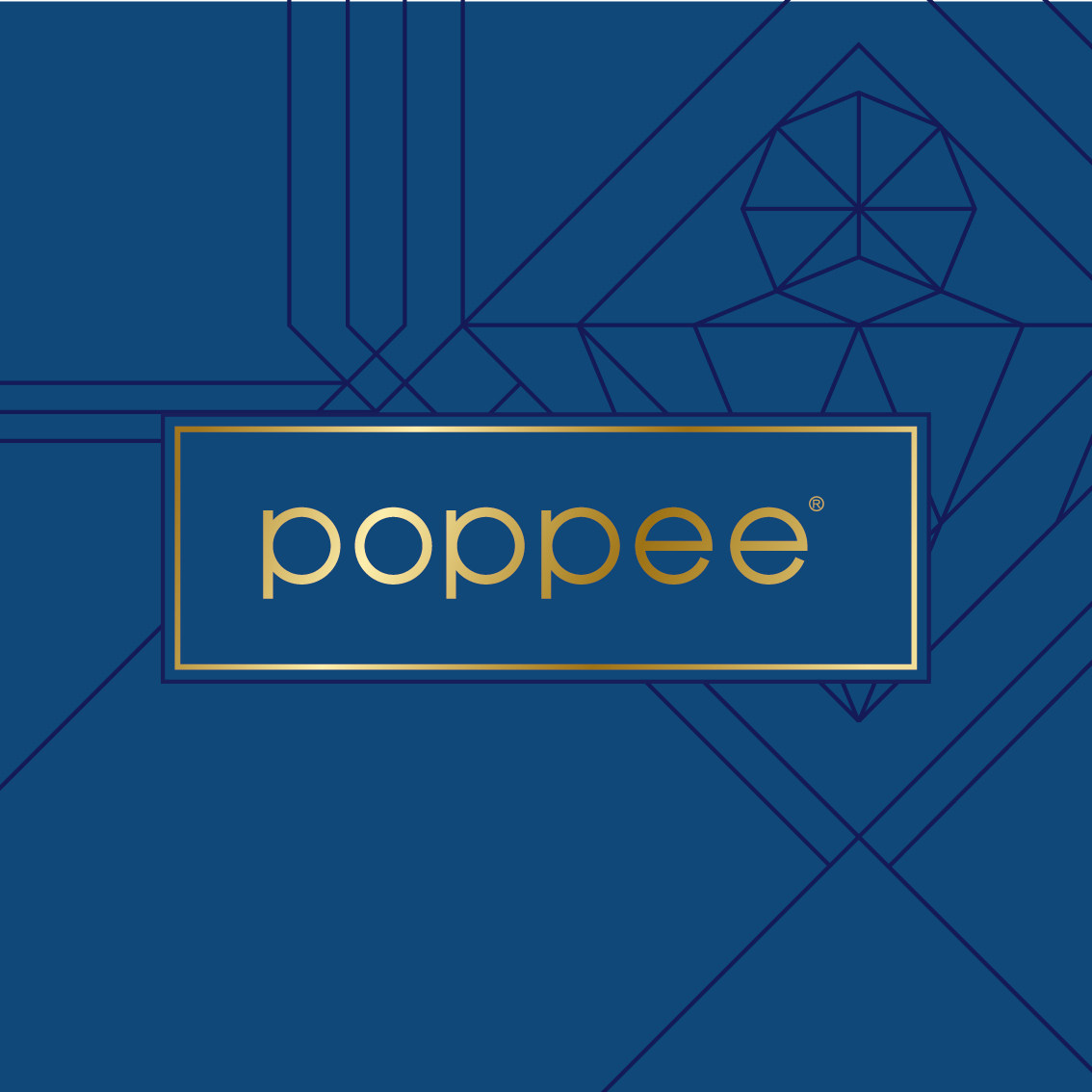 poppee系宝藏