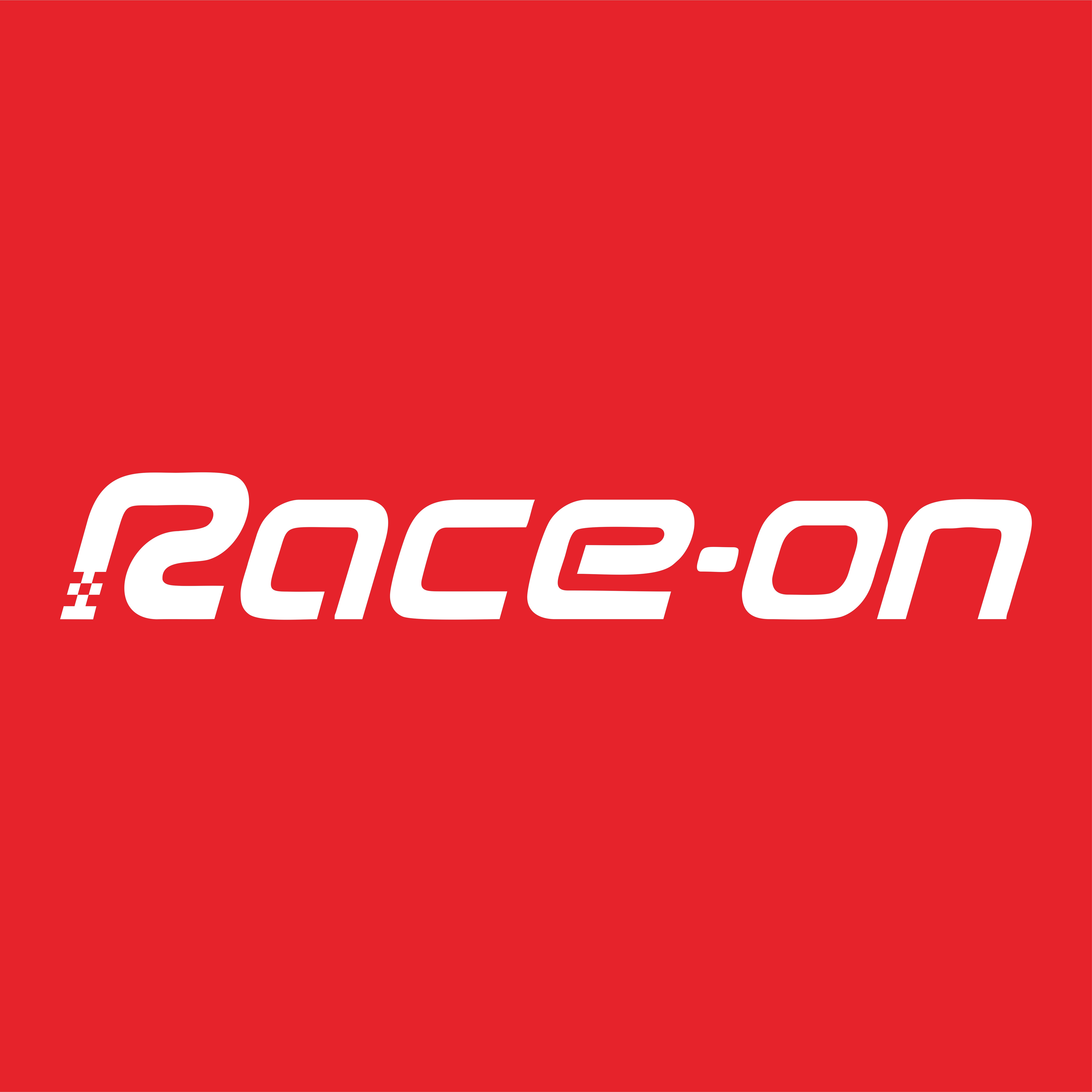 RaceOn企业店