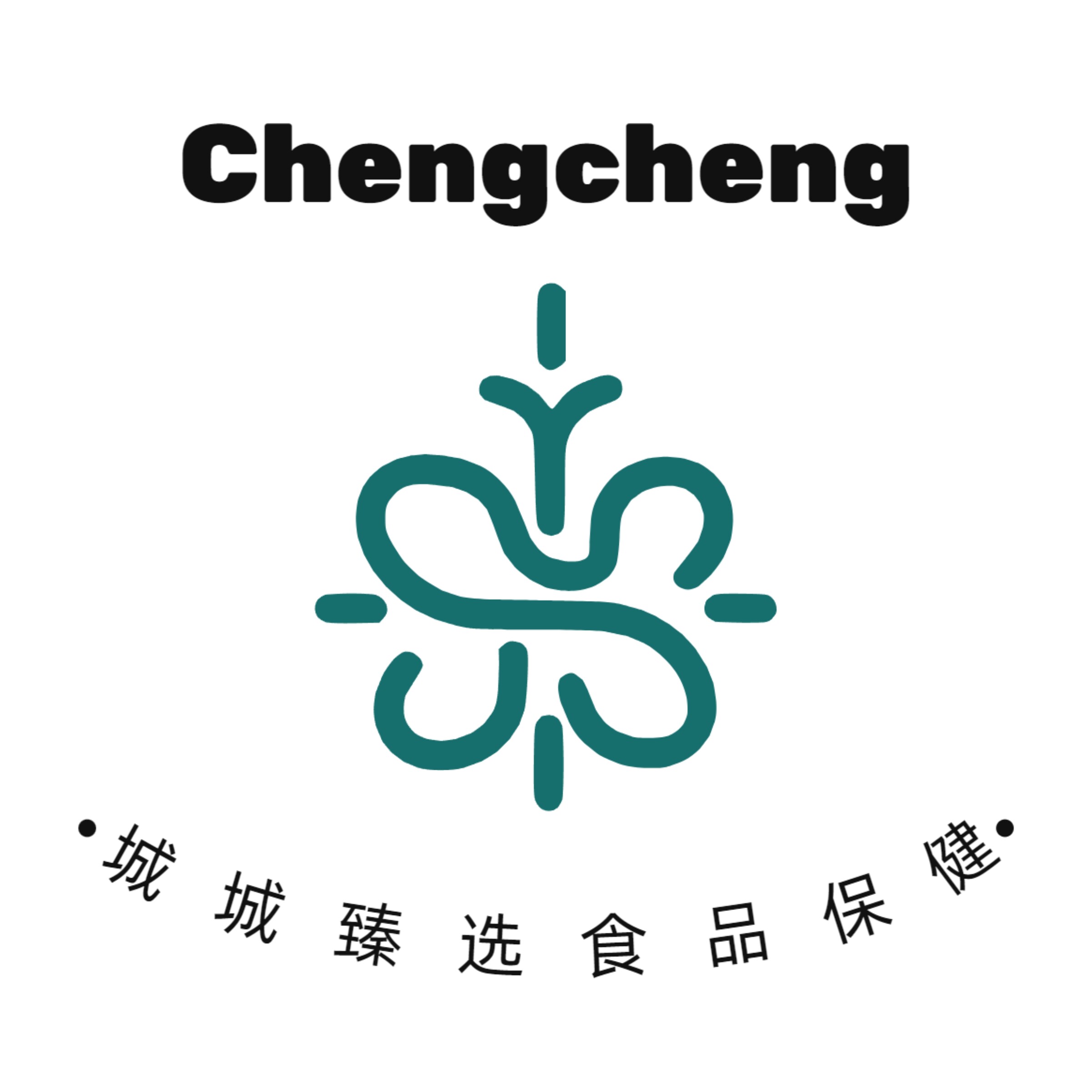 Cheng城城臻选食品新疆驼奶直卖店