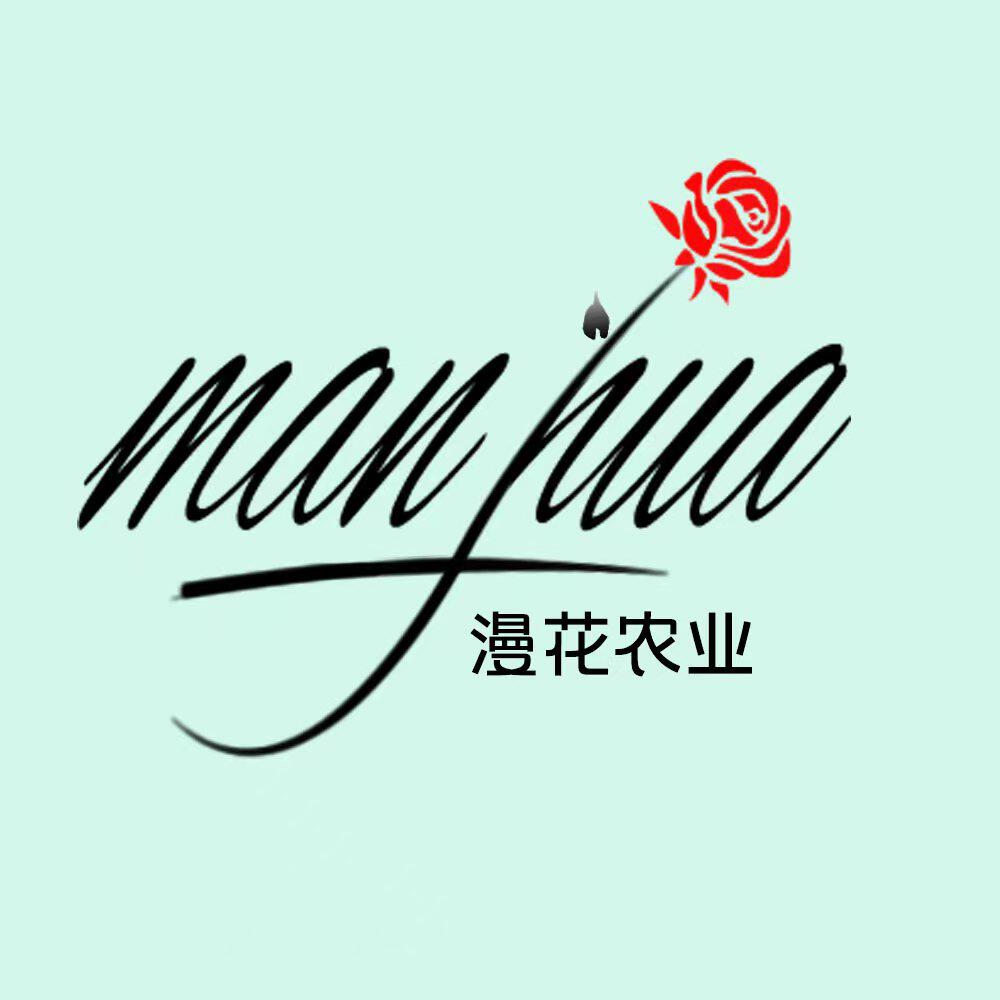 漫花村的小花园