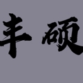 丰硕塑料包装厂logo