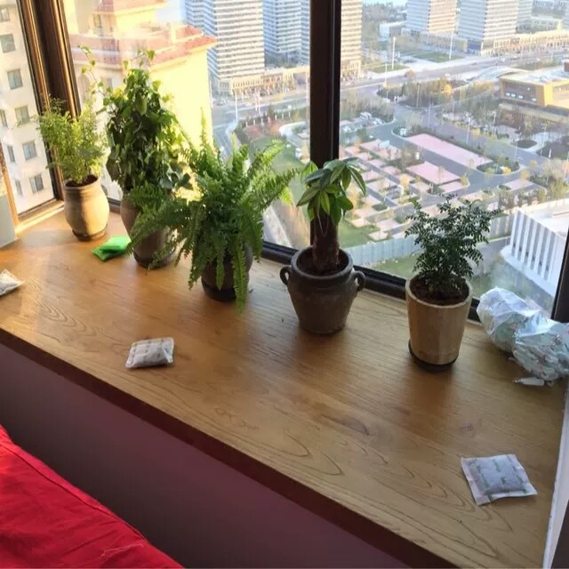 北美木材原木定做