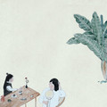 山风照月