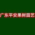 广东平安果树园艺