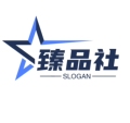 臻品锂电宁德时代