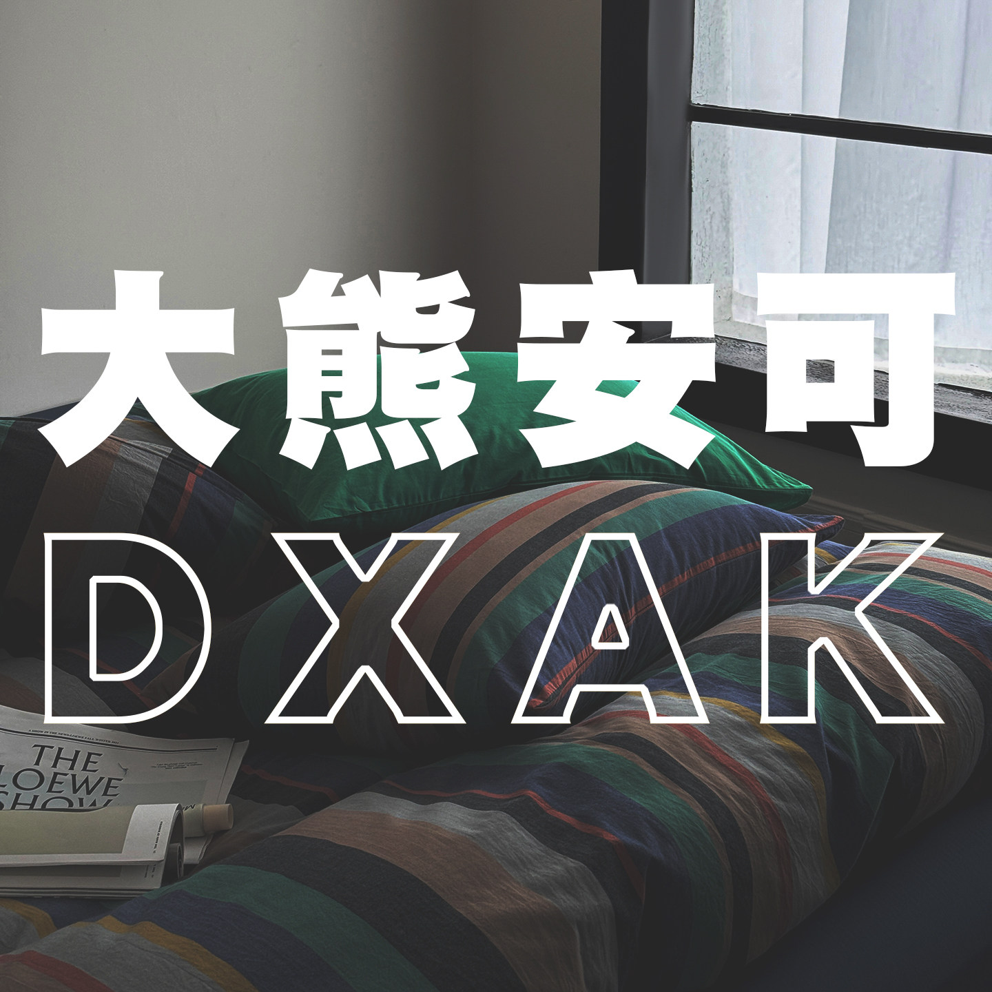 大熊安可 专注品质