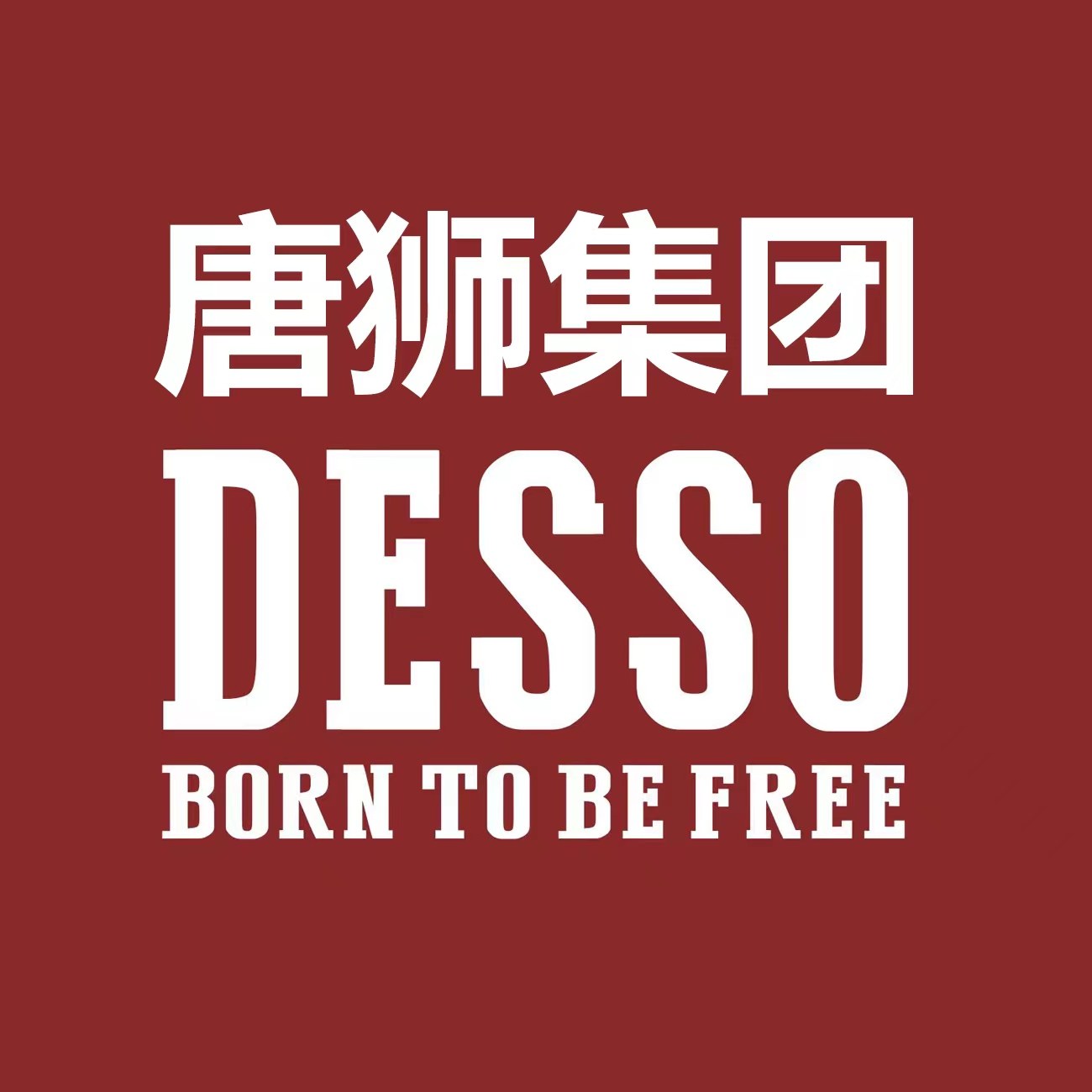 唐狮集团DESSO服饰企业店