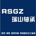深圳大山轴承