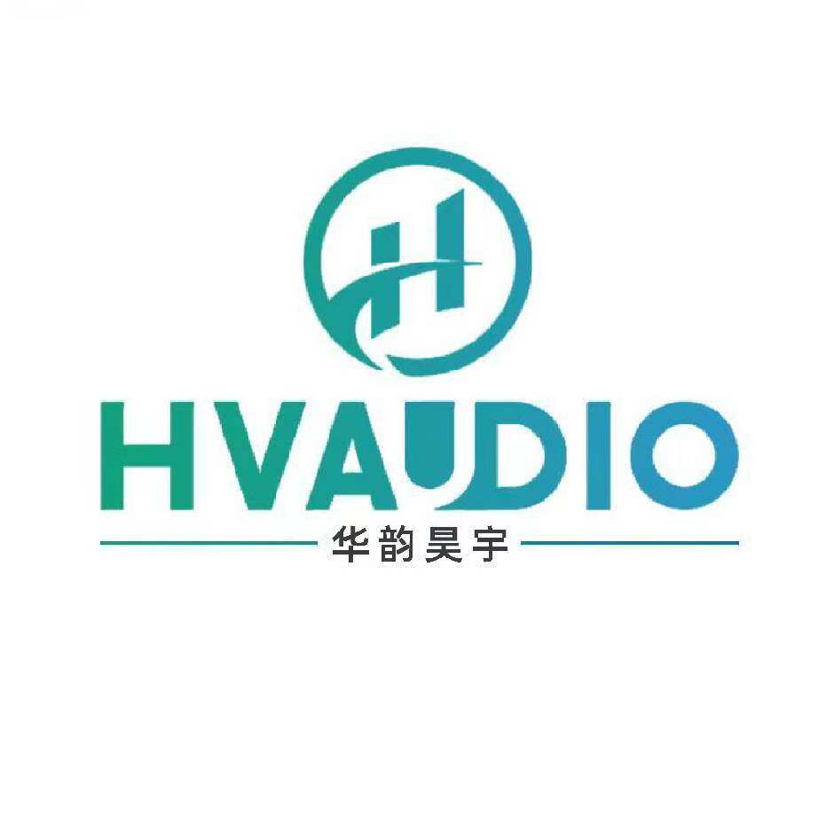 华韵昊宇乐器专营店