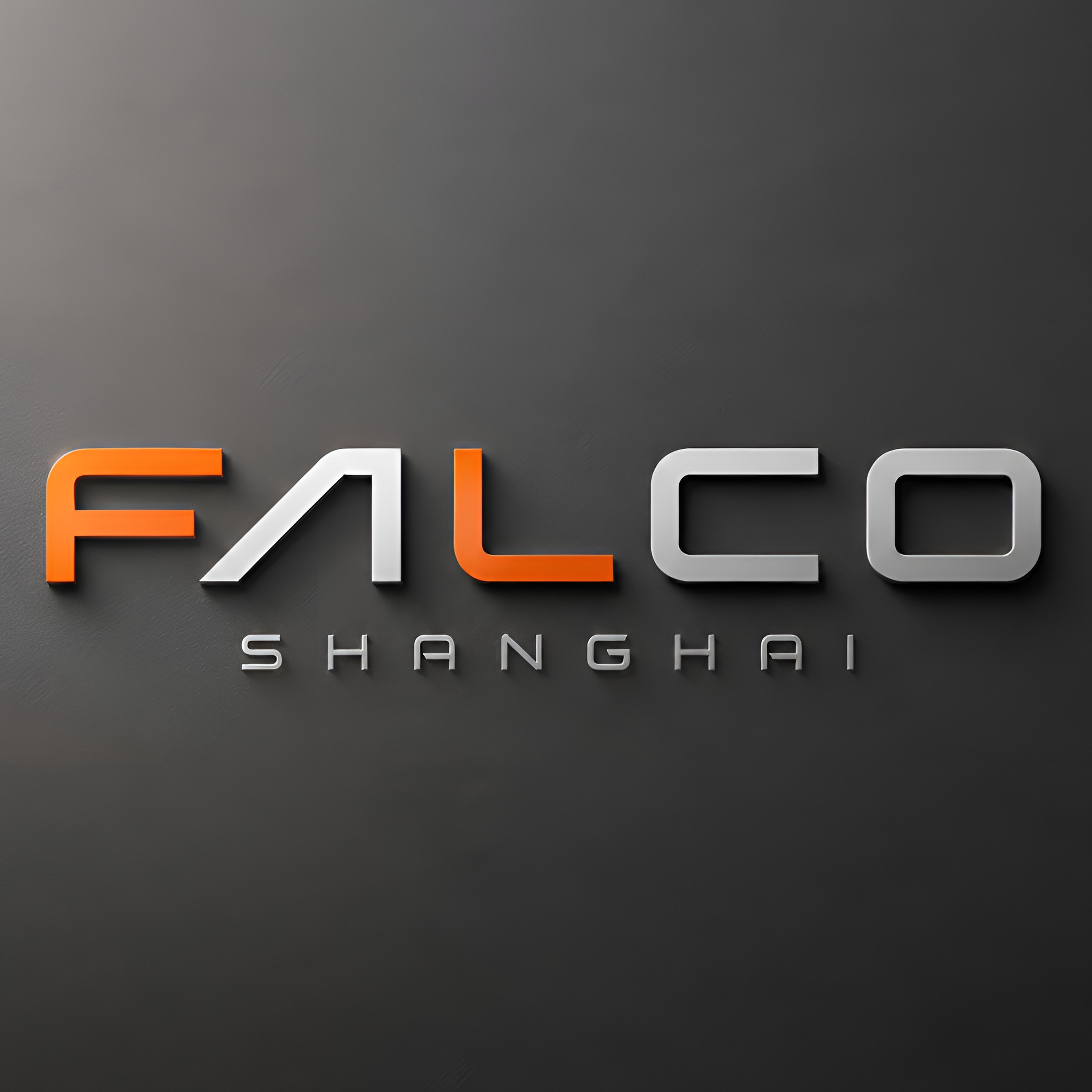 飞蔻文化石 店铺LOGO