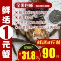 小明河蟹