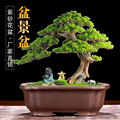 奕斋轩紫砂花盆店
