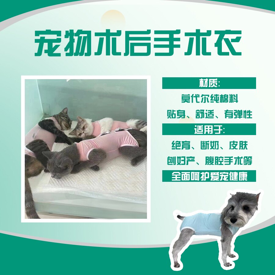 宠宠衣小店