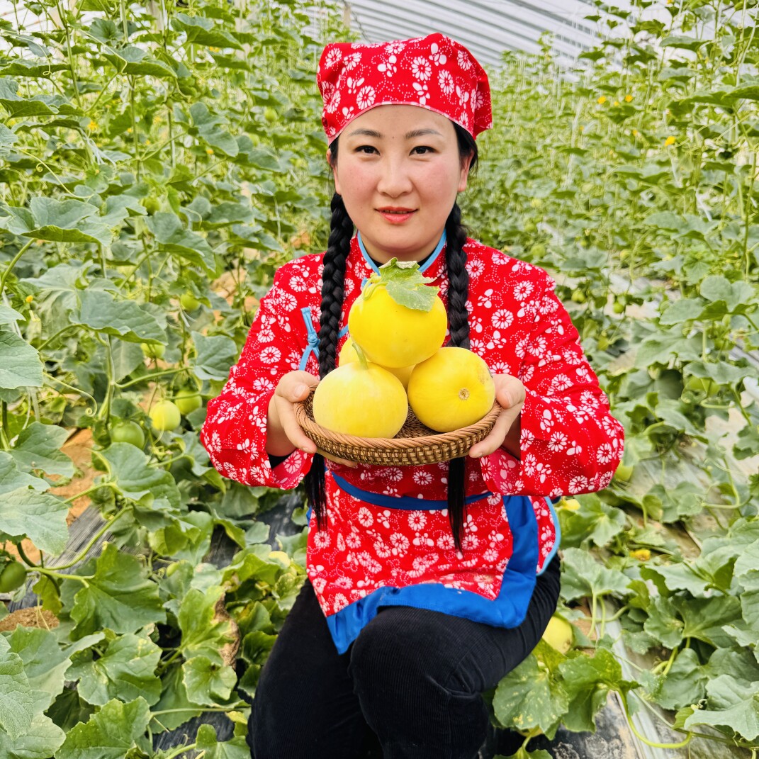 蒙山农信果品特产