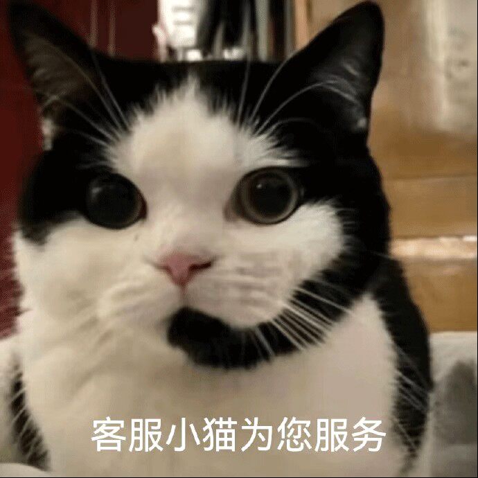 老王在线 店铺LOGO